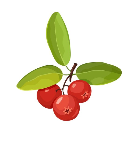 Клюква мультяшная