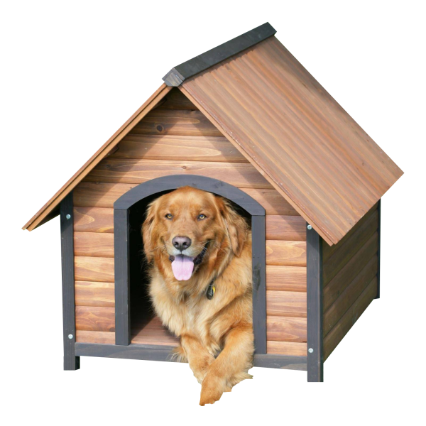 Собака с конурой