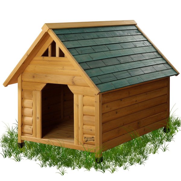 Ребенок в собачьей будке