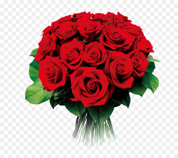Букет красных роз на прозрачном фоне