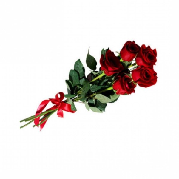 Букет красных роз на белом фоне