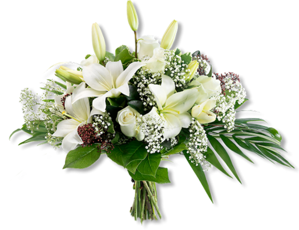 Букет лилий на белом фоне