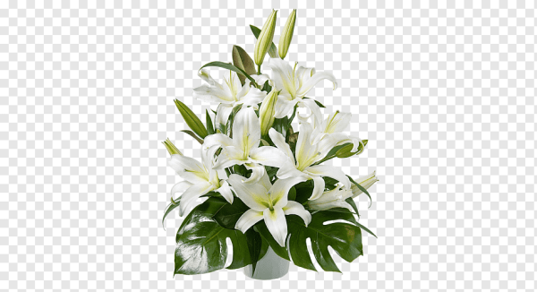 Букет лилий на прозрачном фоне