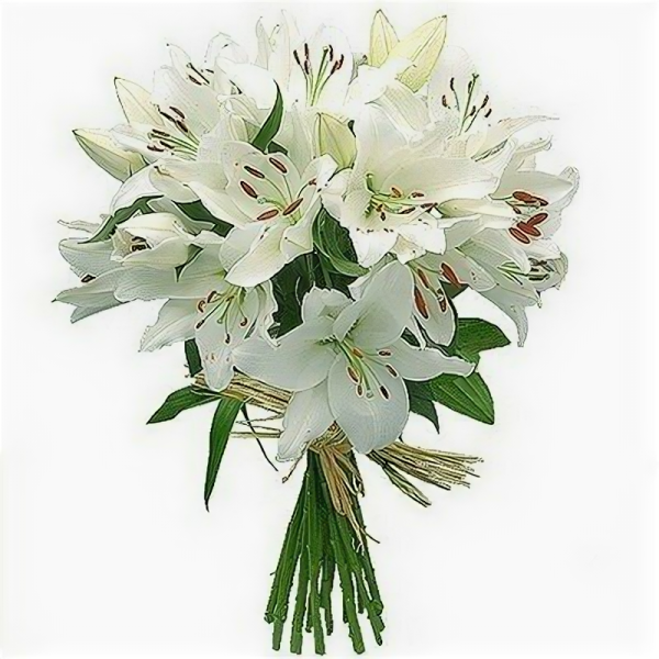 9 Лилий букет