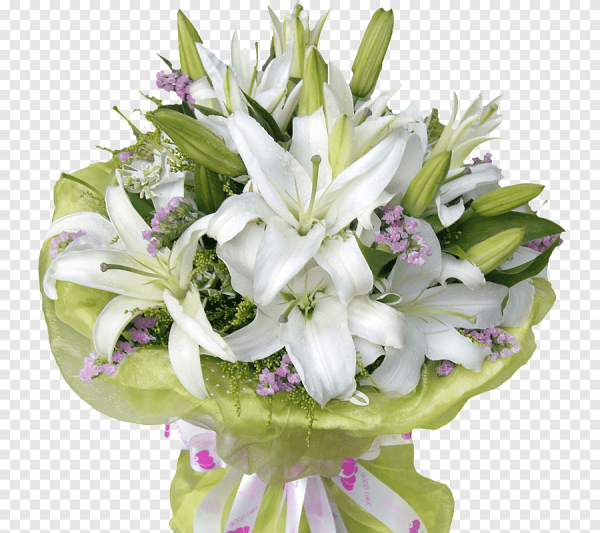 Букет из лилий на прозрачном фоне