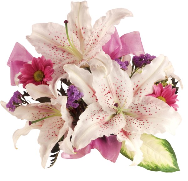 Букет лилий на прозрачном фоне