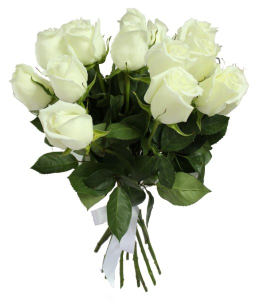 Букет белых роз