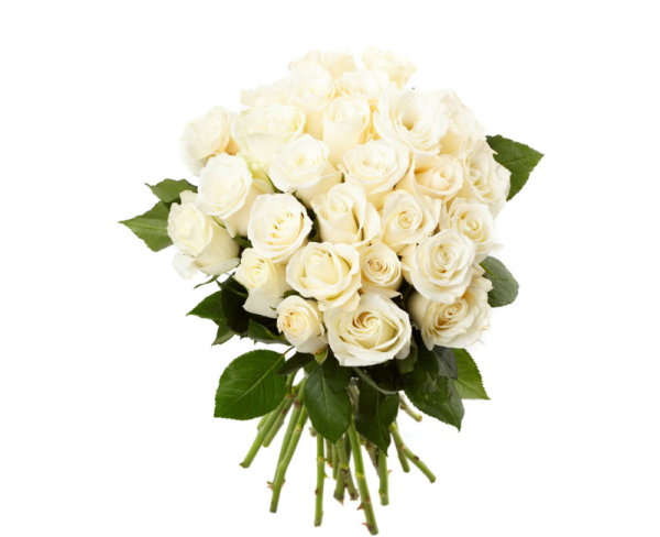 Белый букет на прозрачном фоне