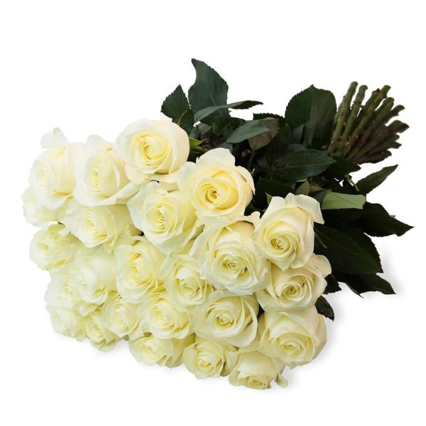 Букет роз лежит