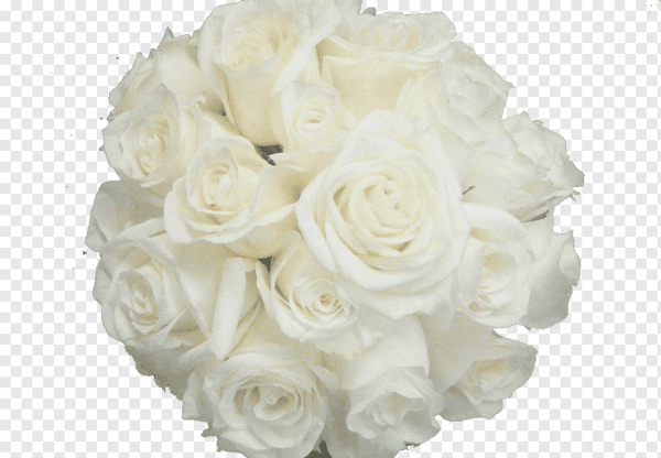 Букет белых цветов на прозрачном фоне