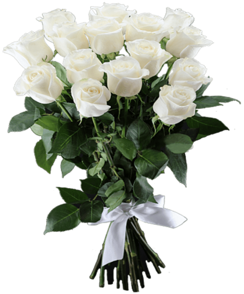 Цветы розы белые букет