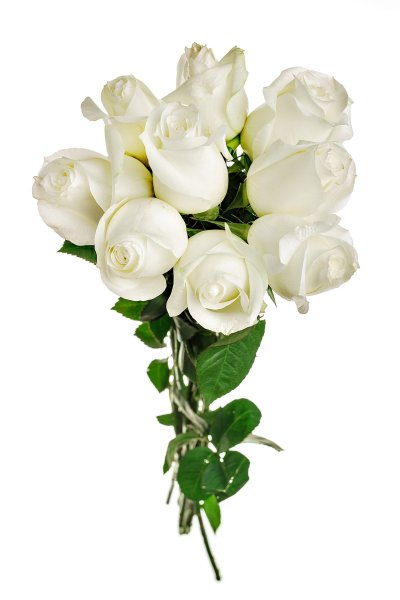 Монобукет из белых роз