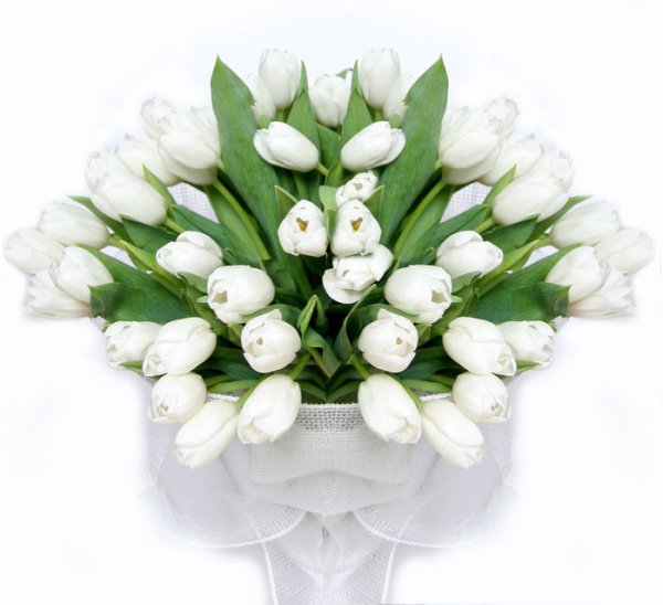 Букет белых цветов