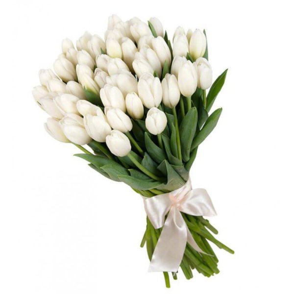 Белые тюльпаны красивый букет