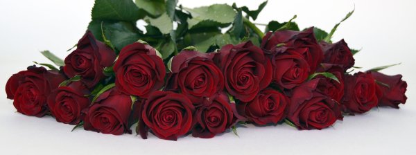 Букет «бордовая роза»