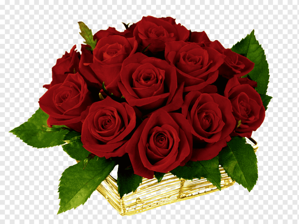 Букет роз на прозрачном фоне