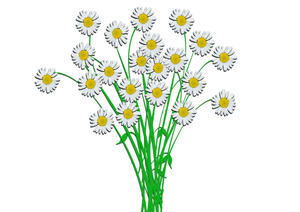 Мультяшные букеты на прозрачном фоне