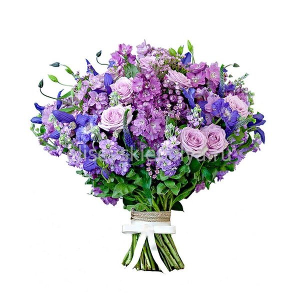 Гортензия Матиола Ирис