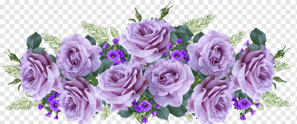 Фиолетовая роза на прозрачном фоне