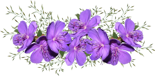 Цветы для фотошопа