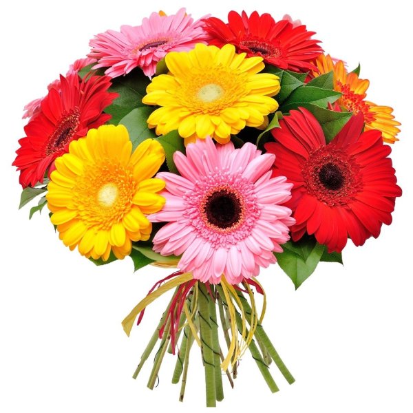 Букет "герберы и Сантини"