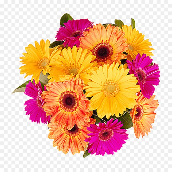 Букет на прозрачном фоне