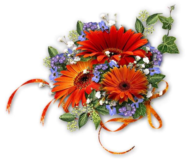 Букет цветов герберы на прозрачном фоне