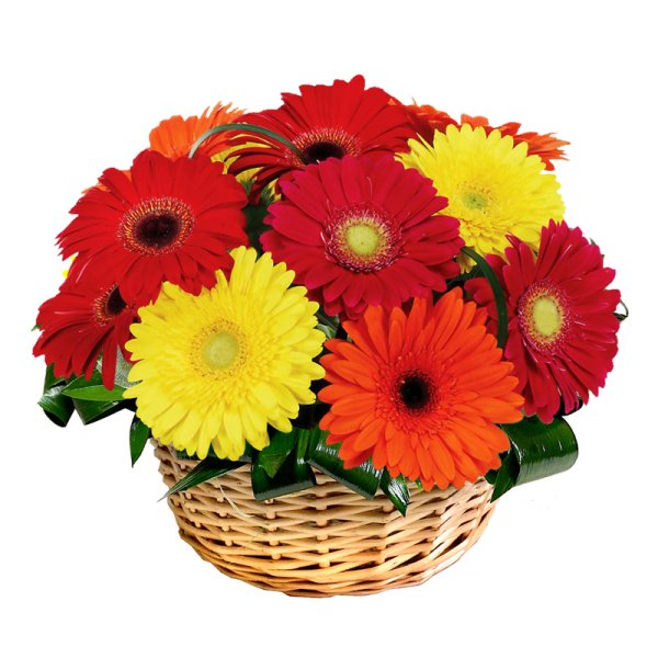 Корзинки с оранжевой герберой
