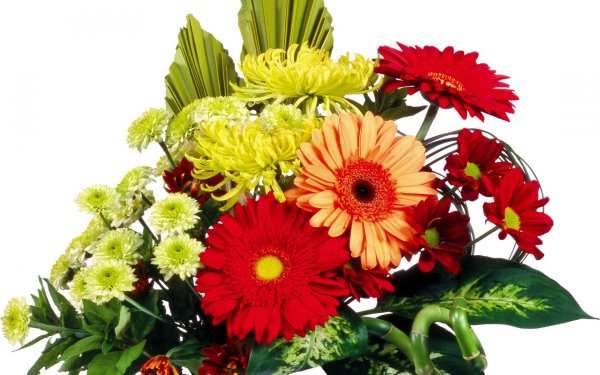 Букет на прозрачном фоне