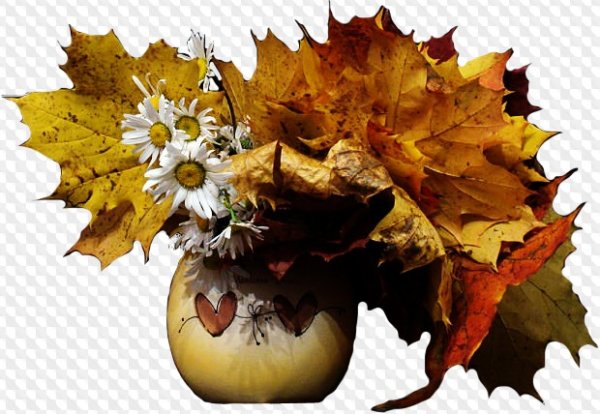 Букет из осенних листьев на прозрачном фоне