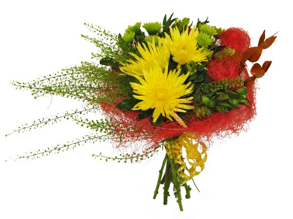 Осенние цветы