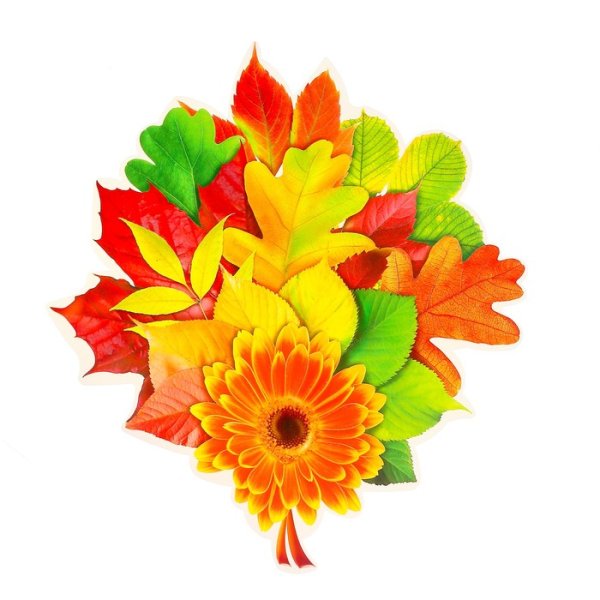 Букет из осенних листьев