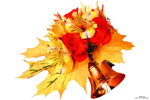 День знаний