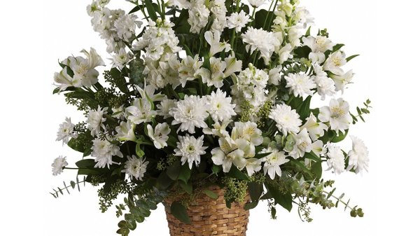 Хризантема и львиный зев