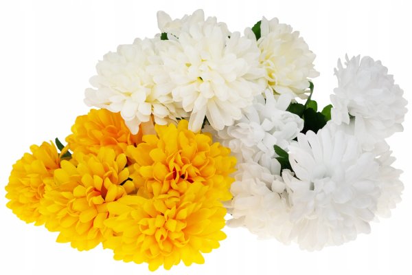 Золотые хризантемы