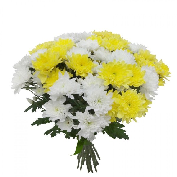 Желтые одноголовые хризантемы букет