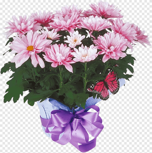 С днём рождения хризантемы