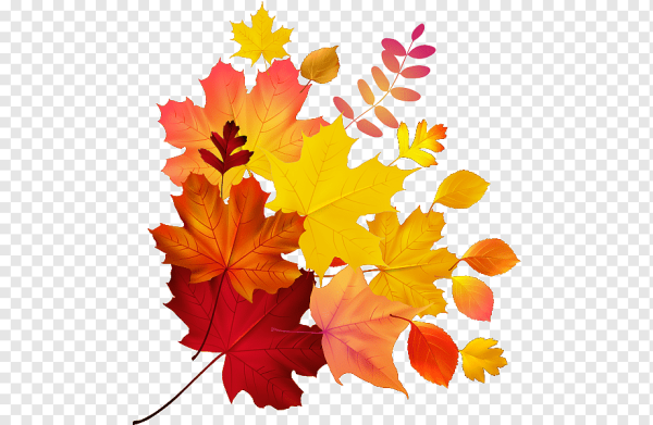 Осенние листья на прозрачном фоне