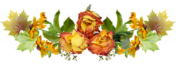 Букет из листьев на прозрачном фоне