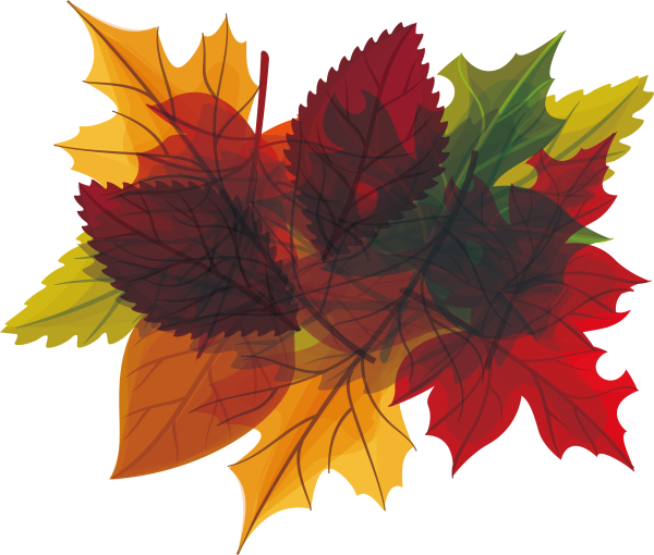 Букет осенних листьев вектор