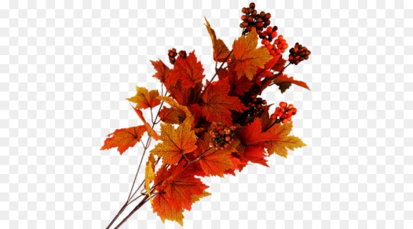 Букет осенних листьев для фотошопа
