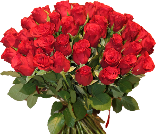 Огромный букет на прозрачном фоне