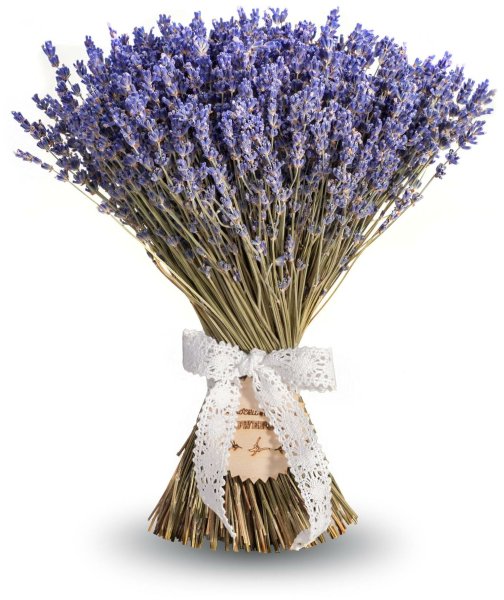 Букеты из лаванды и сухоцветов