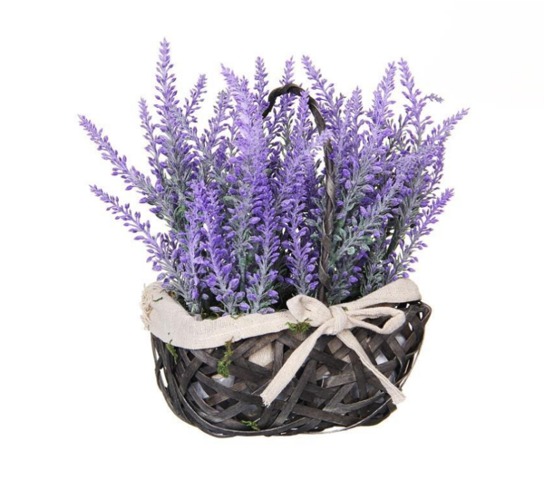 Лаванда куст