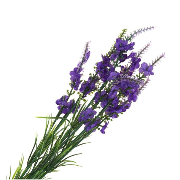 Веточка лаванды на прозрачном фоне