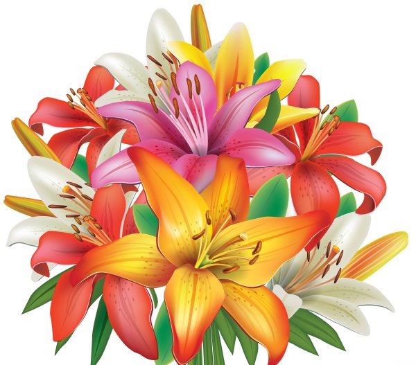 Лилии для детей