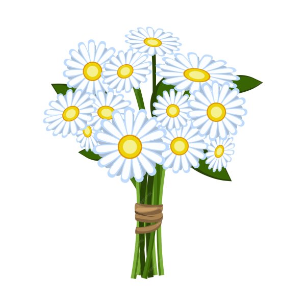Букет ромашек вектор