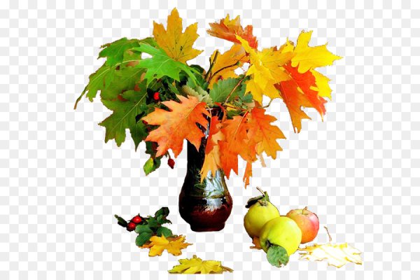 Осенние листья букет