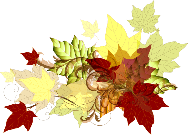 Листья композиция