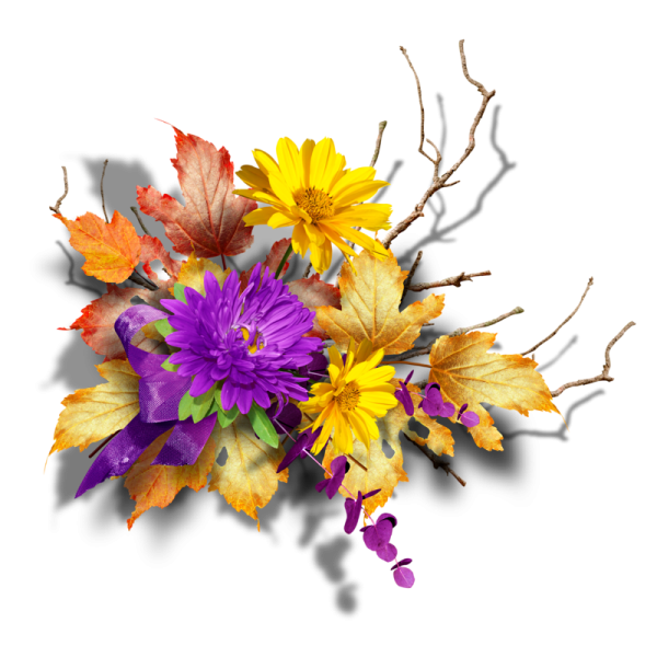 Осенние цветы